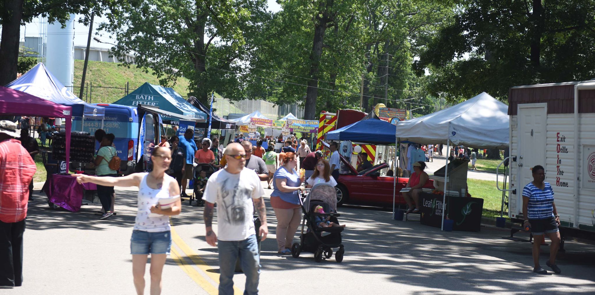 Festival in the Park